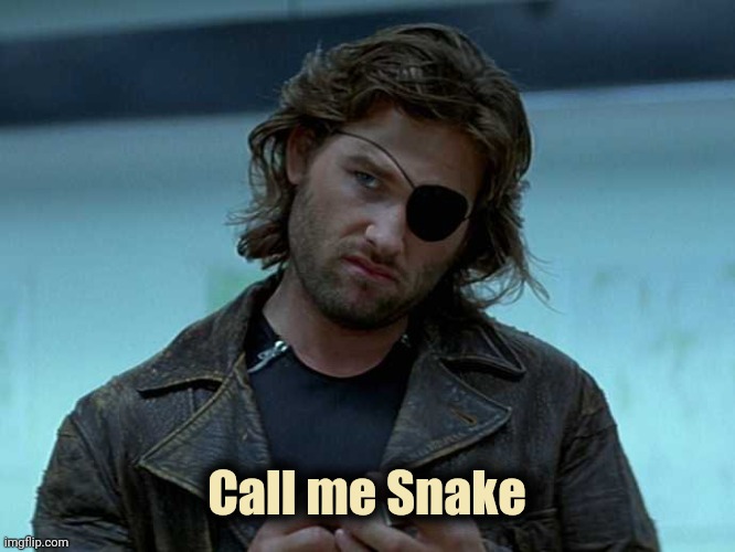 snake escape from ny | Call me Snake | image tagged in snake escape from ny | made w/ Imgflip meme maker
