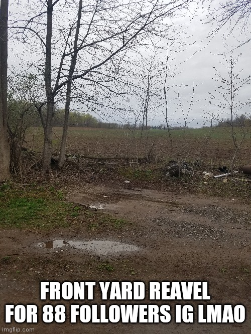 ... | FRONT YARD REAVEL FOR 88 FOLLOWERS IG LMAO | made w/ Imgflip meme maker