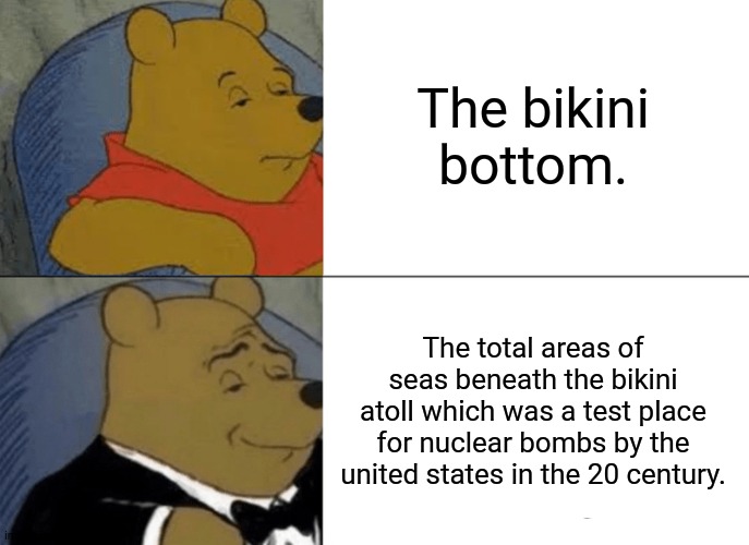 Tuxedo Winnie The Pooh Meme | The bikini bottom. The total areas of seas beneath the bikini atoll which was a test place for nuclear bombs by the united states in the 20 century. | image tagged in memes,tuxedo winnie the pooh,bad | made w/ Imgflip meme maker