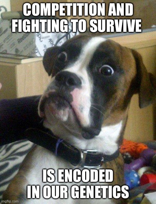 Blankie the Shocked Dog | COMPETITION AND FIGHTING TO SURVIVE IS ENCODED IN OUR GENETICS | image tagged in blankie the shocked dog | made w/ Imgflip meme maker