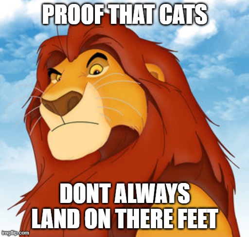 Who said cats have 9 lives | PROOF THAT CATS; DONT ALWAYS LAND ON THERE FEET | image tagged in mufasa | made w/ Imgflip meme maker