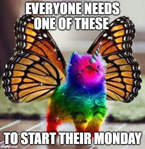 Rainbow unicorn butterfly kitten | EVERYONE NEEDS ONE OF THESE; TO START THEIR MONDAY | image tagged in rainbow unicorn butterfly kitten | made w/ Imgflip meme maker