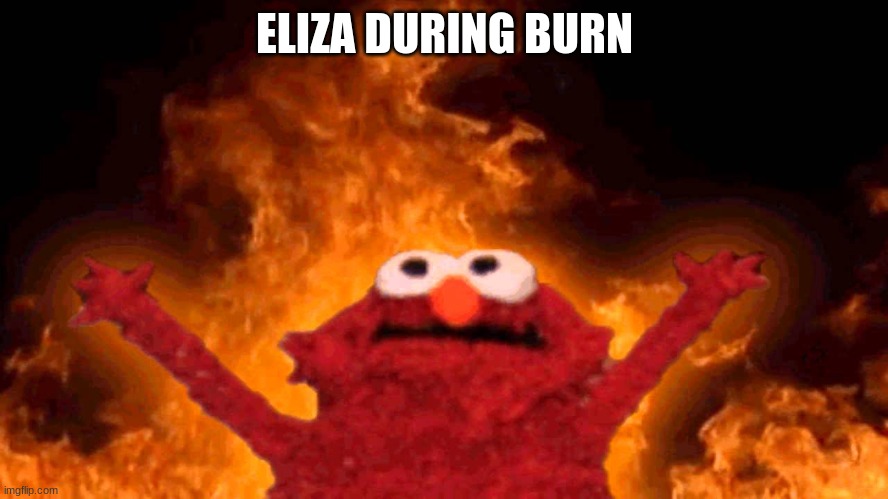 i feel like this is a classic meme | ELIZA DURING BURN | image tagged in elmo fire | made w/ Imgflip meme maker