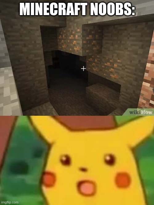 Minecraft noobs | MINECRAFT NOOBS: | image tagged in surprised pikachu,video games,minecraft,gaming,noob | made w/ Imgflip meme maker
