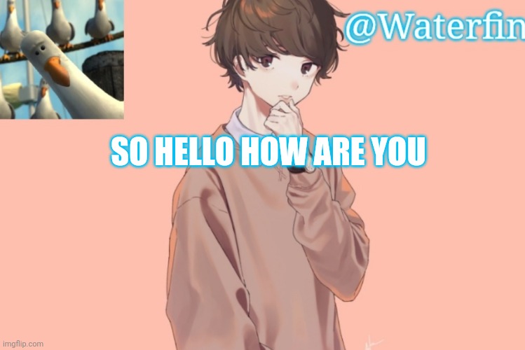 Im never doing a face reveal im ugly only one person knows my facd | SO HELLO HOW ARE YOU | image tagged in waterfins template | made w/ Imgflip meme maker