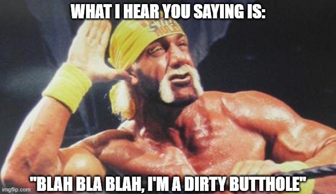 Hulk Hogan Ear | WHAT I HEAR YOU SAYING IS:; "BLAH BLA BLAH, I'M A DIRTY BUTTHOLE" | image tagged in hulk hogan ear,blah blah | made w/ Imgflip meme maker