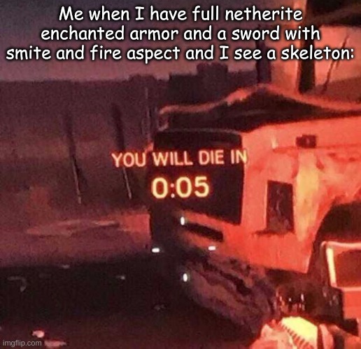 You will die in 0:05 | Me when I have full netherite enchanted armor and a sword with smite and fire aspect and I see a skeleton: | image tagged in you will die in 0 05 | made w/ Imgflip meme maker