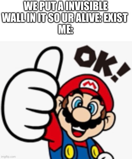 Is ded but we’re alive | WE PUT A INVISIBLE WALL IN IT SO UR ALIVE: EXIST 
ME: | image tagged in mario ok | made w/ Imgflip meme maker