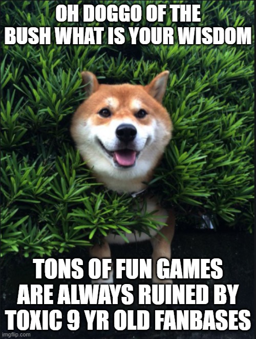Doggo of the bush | OH DOGGO OF THE BUSH WHAT IS YOUR WISDOM; TONS OF FUN GAMES ARE ALWAYS RUINED BY TOXIC 9 YR OLD FANBASES | image tagged in dog of the bush what is your wisdom | made w/ Imgflip meme maker