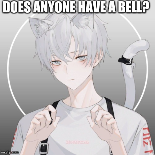 Angel: Mew... | DOES ANYONE HAVE A BELL? | image tagged in roleplaying | made w/ Imgflip meme maker