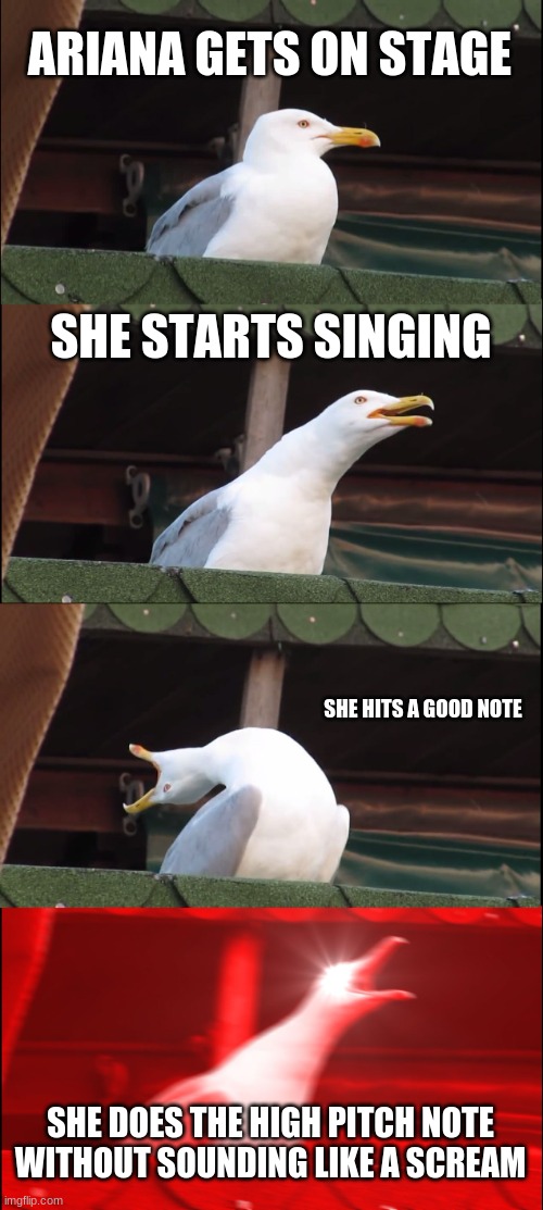 Inhaling Seagull | ARIANA GETS ON STAGE; SHE STARTS SINGING; SHE HITS A GOOD NOTE; SHE DOES THE HIGH PITCH NOTE WITHOUT SOUNDING LIKE A SCREAM | image tagged in memes,inhaling seagull | made w/ Imgflip meme maker
