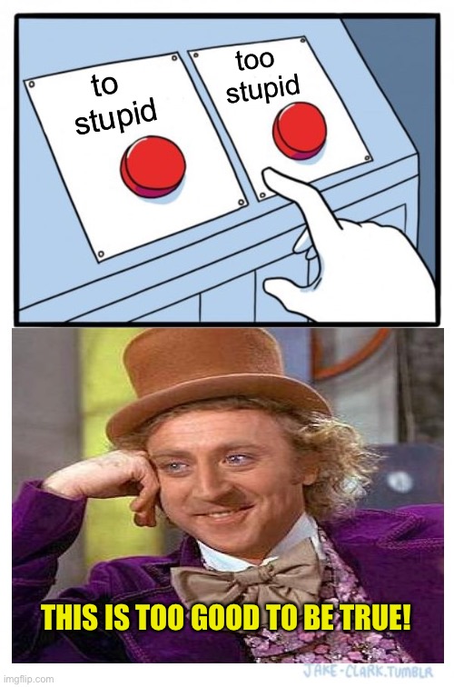 Two Buttons Meme | to 
stupid too 
stupid THIS IS TOO GOOD TO BE TRUE! | image tagged in memes,two buttons | made w/ Imgflip meme maker