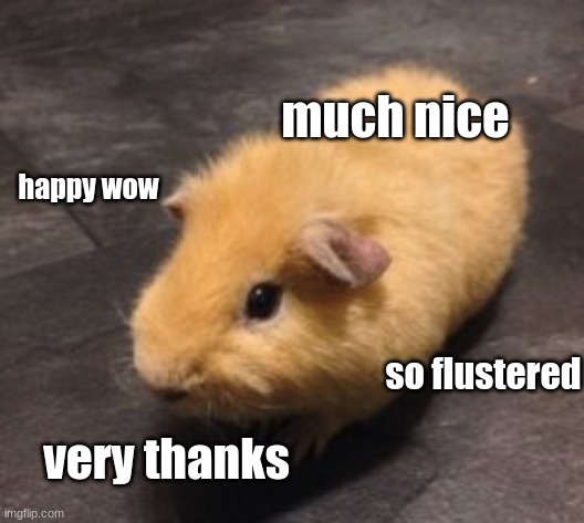 happy wow very thanks much nice so flustered | made w/ Imgflip meme maker