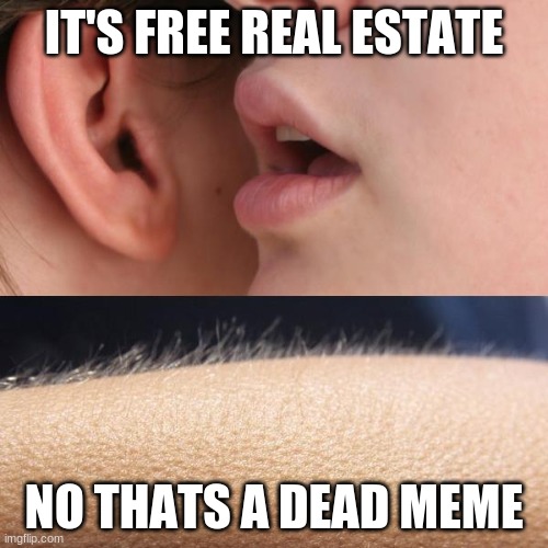 Whisper and Goosebumps | IT'S FREE REAL ESTATE; NO THATS A DEAD MEME | image tagged in whisper and goosebumps | made w/ Imgflip meme maker