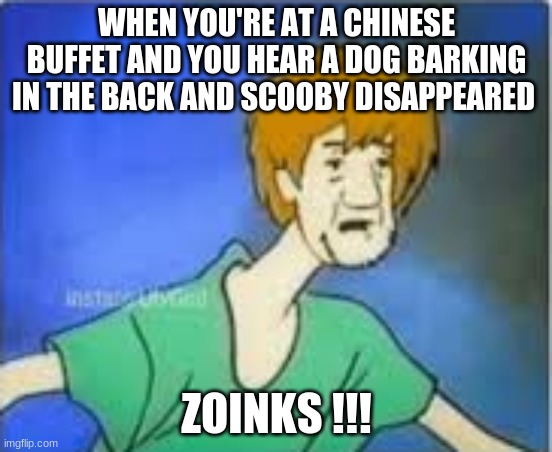 WHEN YOU'RE AT A CHINESE BUFFET AND YOU HEAR A DOG BARKING IN THE BACK AND SCOOBY DISAPPEARED; ZOINKS !!! | image tagged in memes | made w/ Imgflip meme maker