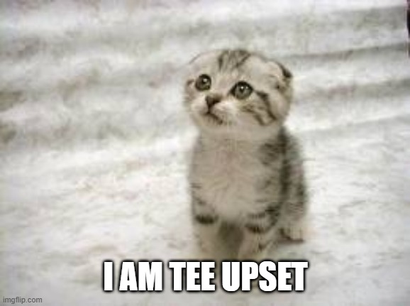 Sad Cat Meme | I AM TEE UPSET | image tagged in memes,sad cat | made w/ Imgflip meme maker