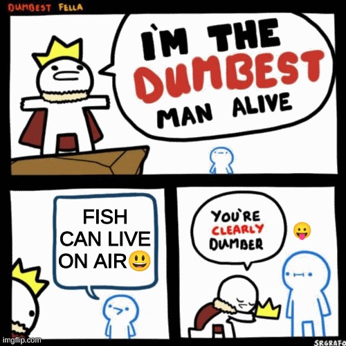 ? | FISH CAN LIVE ON AIR😃; 😛 | image tagged in i'm the dumbest man alive | made w/ Imgflip meme maker