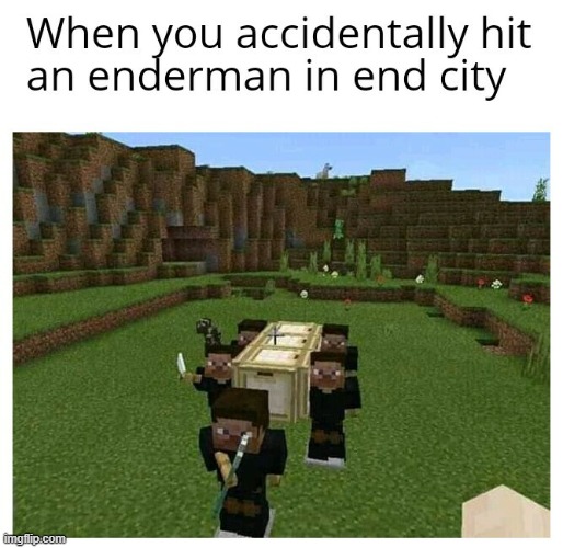 RIP in the chat | image tagged in minecraft,the end | made w/ Imgflip meme maker