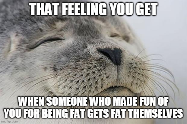 Satisfied Seal | THAT FEELING YOU GET; WHEN SOMEONE WHO MADE FUN OF YOU FOR BEING FAT GETS FAT THEMSELVES | image tagged in memes,satisfied seal,AdviceAnimals | made w/ Imgflip meme maker