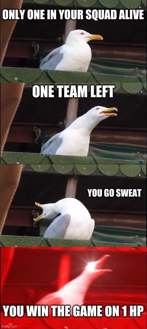 Inhaling Seagull Meme | ONLY ONE IN YOUR SQUAD ALIVE; ONE TEAM LEFT; YOU GO SWEAT; YOU WIN THE GAME ON 1 HP | image tagged in memes,inhaling seagull | made w/ Imgflip meme maker