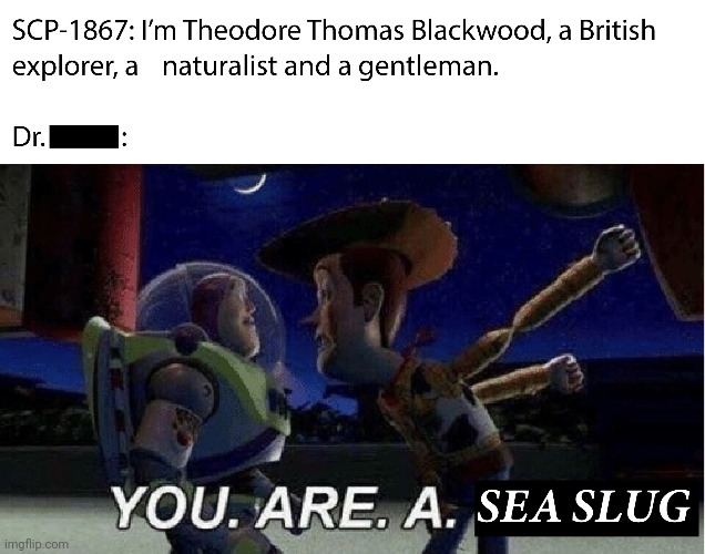 YOU. ARE. A. SEA SLUG. | made w/ Imgflip meme maker