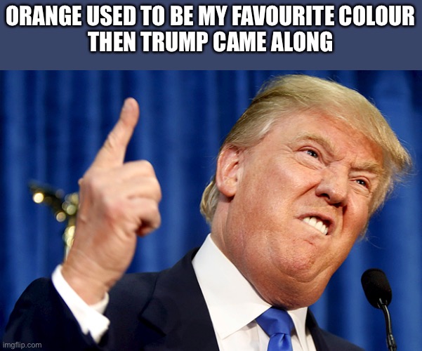 Donald Trump | ORANGE USED TO BE MY FAVOURITE COLOUR
THEN TRUMP CAME ALONG | image tagged in donald trump | made w/ Imgflip meme maker