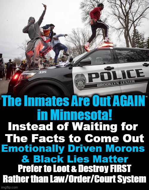 Choosing Lawlessness & Looting and Not Law & Order First | The Inmates Are Out AGAIN 
in Minnesota! Instead of Waiting for 
The Facts to Come Out; Emotionally Driven Morons 
& Black Lies Matter; Prefer to Loot & Destroy FIRST
Rather than Law/Order/Court System | image tagged in politics,liberalism is a mental disorder,democratic socialism,blm,thugs,law and order | made w/ Imgflip meme maker