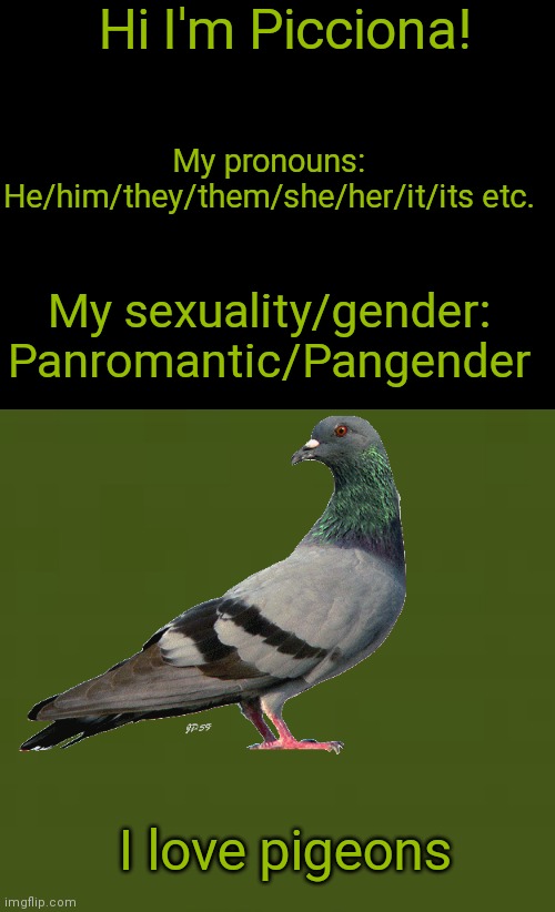 For Picciona | Hi I'm Picciona! My pronouns: He/him/they/them/she/her/it/its etc. My sexuality/gender: Panromantic/Pangender; I love pigeons | image tagged in blank black | made w/ Imgflip meme maker