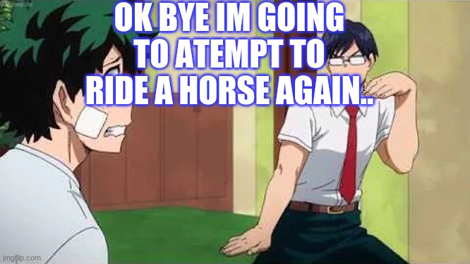i fell off her last time | OK BYE IM GOING TO ATTEMPT TO RIDE A HORSE AGAIN.. | image tagged in iida jig | made w/ Imgflip meme maker