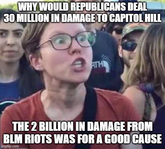 Take the plank out of your eye libtard | WHY WOULD REPUBLICANS DEAL 30 MILLION IN DAMAGE TO CAPITOL HILL; THE 2 BILLION IN DAMAGE FROM BLM RIOTS WAS FOR A GOOD CAUSE | image tagged in angry liberal | made w/ Imgflip meme maker