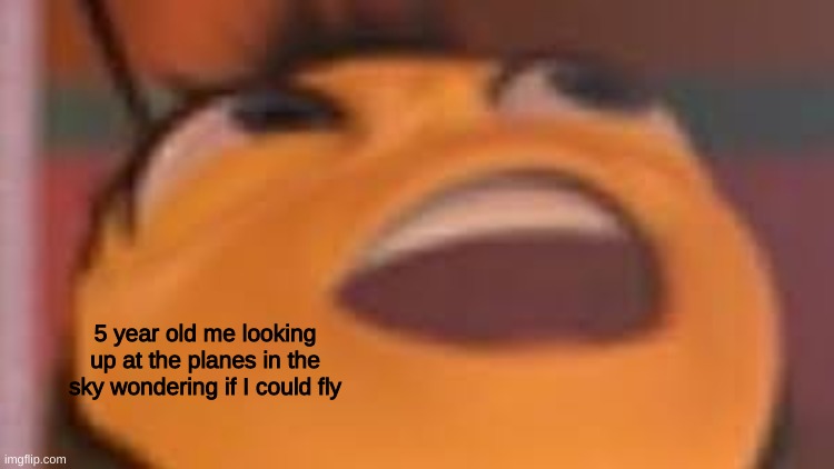 Look... WOW..... | 5 year old me looking up at the planes in the sky wondering if I could fly | image tagged in bee movie,planes | made w/ Imgflip meme maker