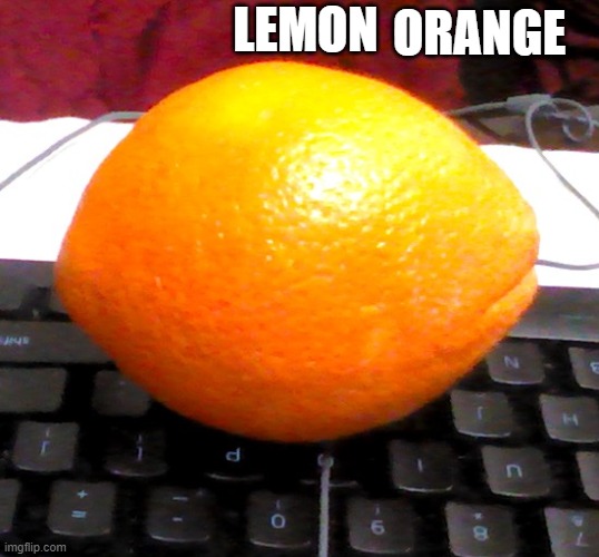 orange | ORANGE; LEMON | image tagged in fruits | made w/ Imgflip meme maker