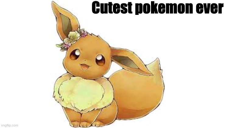 Eevee | Cutest pokemon ever | image tagged in eevee,cute,pokemon | made w/ Imgflip meme maker