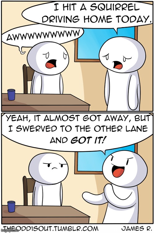 Stupid Squirrels | image tagged in theodd1sout,comics/cartoons | made w/ Imgflip meme maker