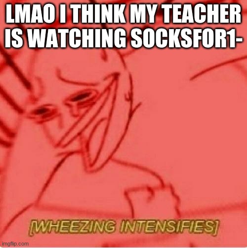 Wheeze | LMAO I THINK MY TEACHER IS WATCHING SOCKSFOR1- | image tagged in wheeze | made w/ Imgflip meme maker