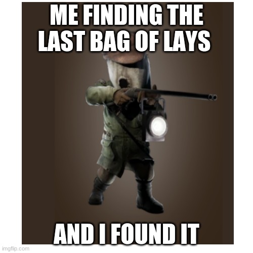 L AYS | ME FINDING THE LAST BAG OF LAYS; AND I FOUND IT | image tagged in memes | made w/ Imgflip meme maker