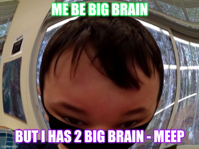 meep | ME BE BIG BRAIN; BUT I HAS 2 BIG BRAIN - MEEP | image tagged in meep | made w/ Imgflip meme maker