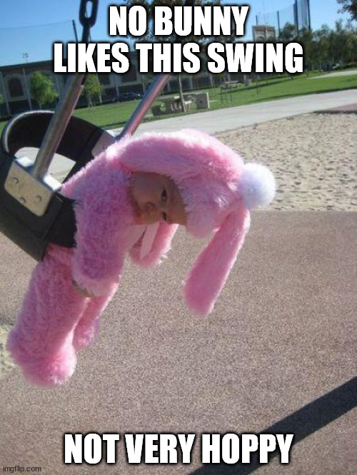 OK, technically not a bunny... | NO BUNNY LIKES THIS SWING; NOT VERY HOPPY | image tagged in bunnies | made w/ Imgflip meme maker