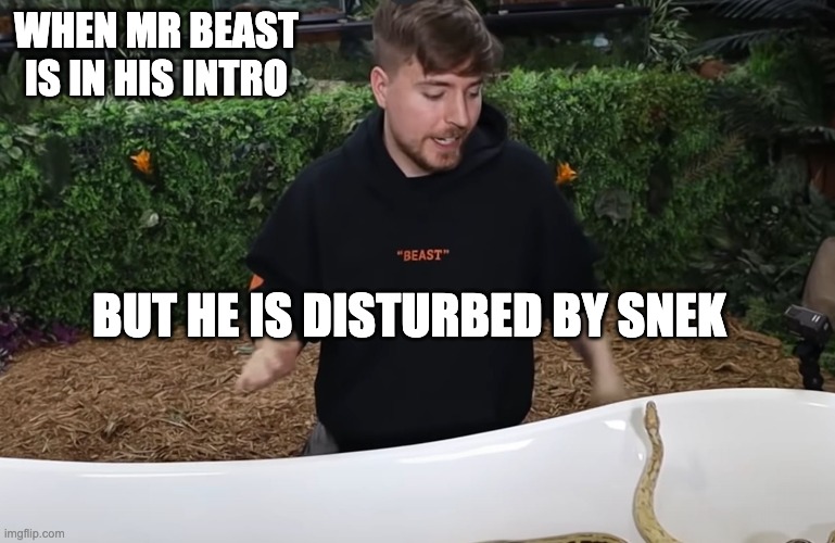 Mr beast looking at snek | WHEN MR BEAST IS IN HIS INTRO; BUT HE IS DISTURBED BY SNEK | image tagged in snake,mr beast,come on,money,content,funny memes | made w/ Imgflip meme maker