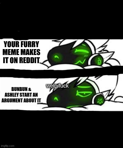 YOUR FURRY MEME MAKES IT ON REDDIT; BUNBUN & ASHLEY START AN ARGUMENT ABOUT IT; welp fuck | image tagged in drake format but a protogen | made w/ Imgflip meme maker