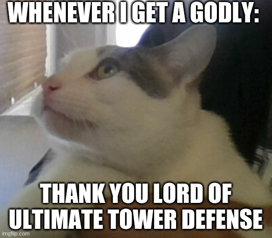 This is 100% true. | WHENEVER I GET A GODLY:; THANK YOU LORD OF ULTIMATE TOWER DEFENSE | image tagged in w-what is happening | made w/ Imgflip meme maker