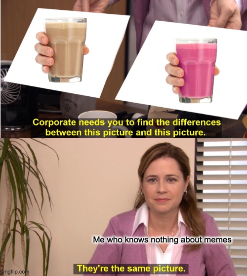 They're The Same Picture | Me who knows nothing about memes | image tagged in memes,they're the same picture | made w/ Imgflip meme maker