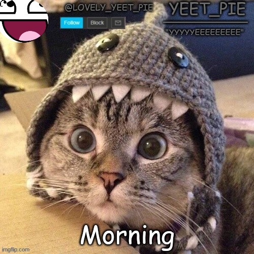 Yeet_Pie | Morning | image tagged in yeet_pie | made w/ Imgflip meme maker