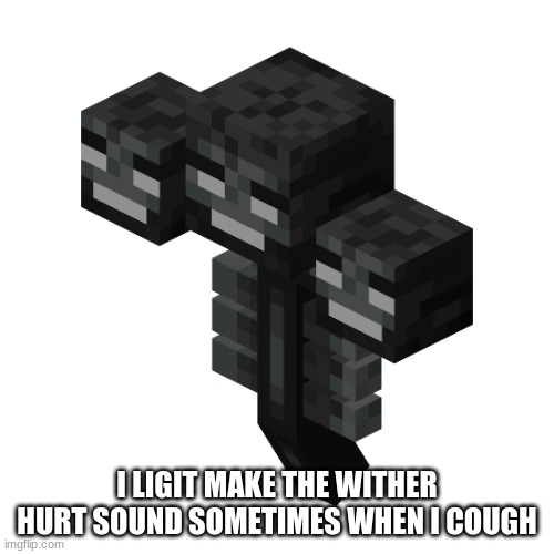 The wither | I LIGIT MAKE THE WITHER HURT SOUND SOMETIMES WHEN I COUGH | image tagged in the wither | made w/ Imgflip meme maker