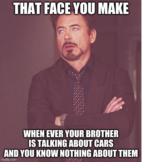 Face You Make Robert Downey Jr | THAT FACE YOU MAKE; WHEN EVER YOUR BROTHER IS TALKING ABOUT CARS AND YOU KNOW NOTHING ABOUT THEM | image tagged in memes,face you make robert downey jr | made w/ Imgflip meme maker