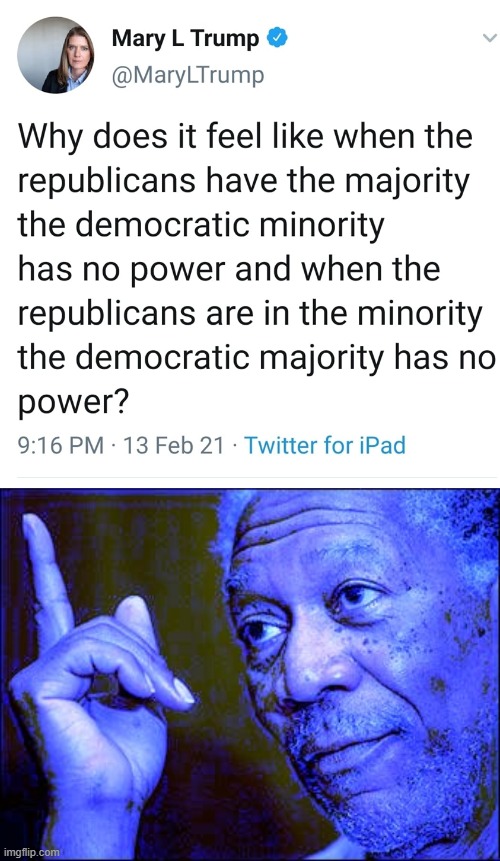 the based-est Trump of them all (indicated by blue Morgan Freeman, naturally) | image tagged in mary trump based,morgan freeman this blue version,democratic party,democrats,republicans,democracy | made w/ Imgflip meme maker