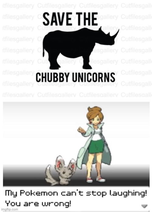 Chubby Unicorns. | image tagged in funny memes,fun | made w/ Imgflip meme maker