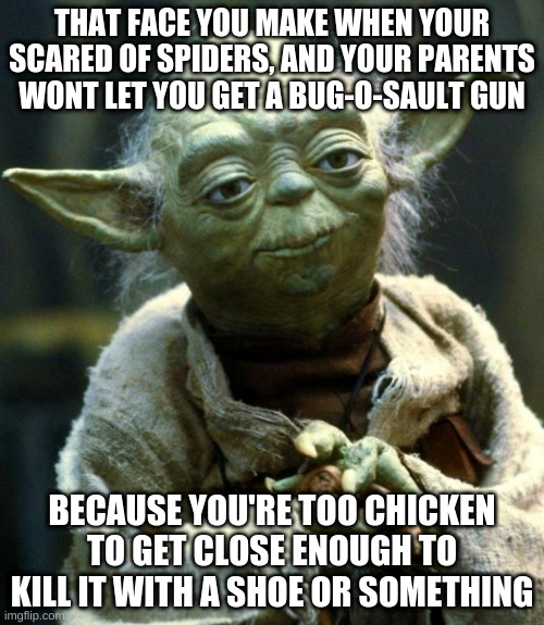 Me last night with a spider that was legit bigger than a quarter | THAT FACE YOU MAKE WHEN YOUR SCARED OF SPIDERS, AND YOUR PARENTS WONT LET YOU GET A BUG-O-SAULT GUN; BECAUSE YOU'RE TOO CHICKEN TO GET CLOSE ENOUGH TO KILL IT WITH A SHOE OR SOMETHING | image tagged in memes,star wars yoda | made w/ Imgflip meme maker