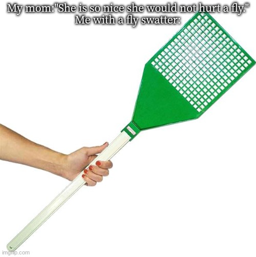 Shit post go brrrrrr | My mom:"She is so nice she would not hurt a fly."
Me with a fly swatter: | made w/ Imgflip meme maker