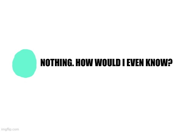 Blank White Template | NOTHING. HOW WOULD I EVEN KNOW? | image tagged in blank white template | made w/ Imgflip meme maker